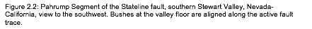 Text Box: Figure 2.2: Pahrump Segment of the Stateline fault, southern Stewart Valley, Nevada- California, view to the southwest. Bushes at the valley floor are aligned along the active fault trace.  
